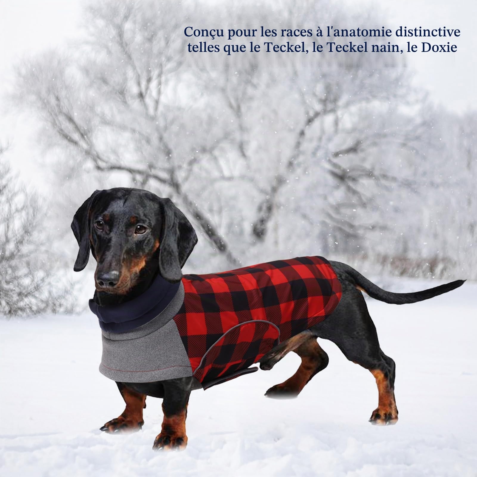 Manteau d'hiver imperméable pour petit chien, veste teckel avec trou pour harnais, idéal pour la marche, la randonnée, le camping, motif écossais rouge, taille M