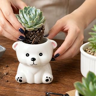 Cute Ceramic Animals Planter Succulent Flower Pot Indoor Air Plants Holder