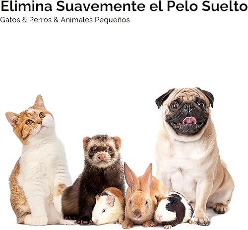 Miniatura 8 de Aumuca - Cepillo para gatos de pelo largo o corto de interior, para eliminar el pelo suelto, peinado de gatos, masaje de gatitos y cachorros