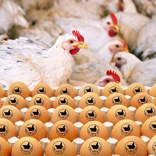 Miniatura 7 de Sellos de huevos, bonitos sellos de huevos para huevos frescos con almohadilla de sello, sello personalizado para huevos de granja de gallineros y