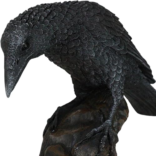 Miniatura 5 de Ebros Gift Figura gótica macabra Edgar Poe Perching Raven On Rock de 5 pulgadas de alto, cuervo gótico carroñero, decoración escultura