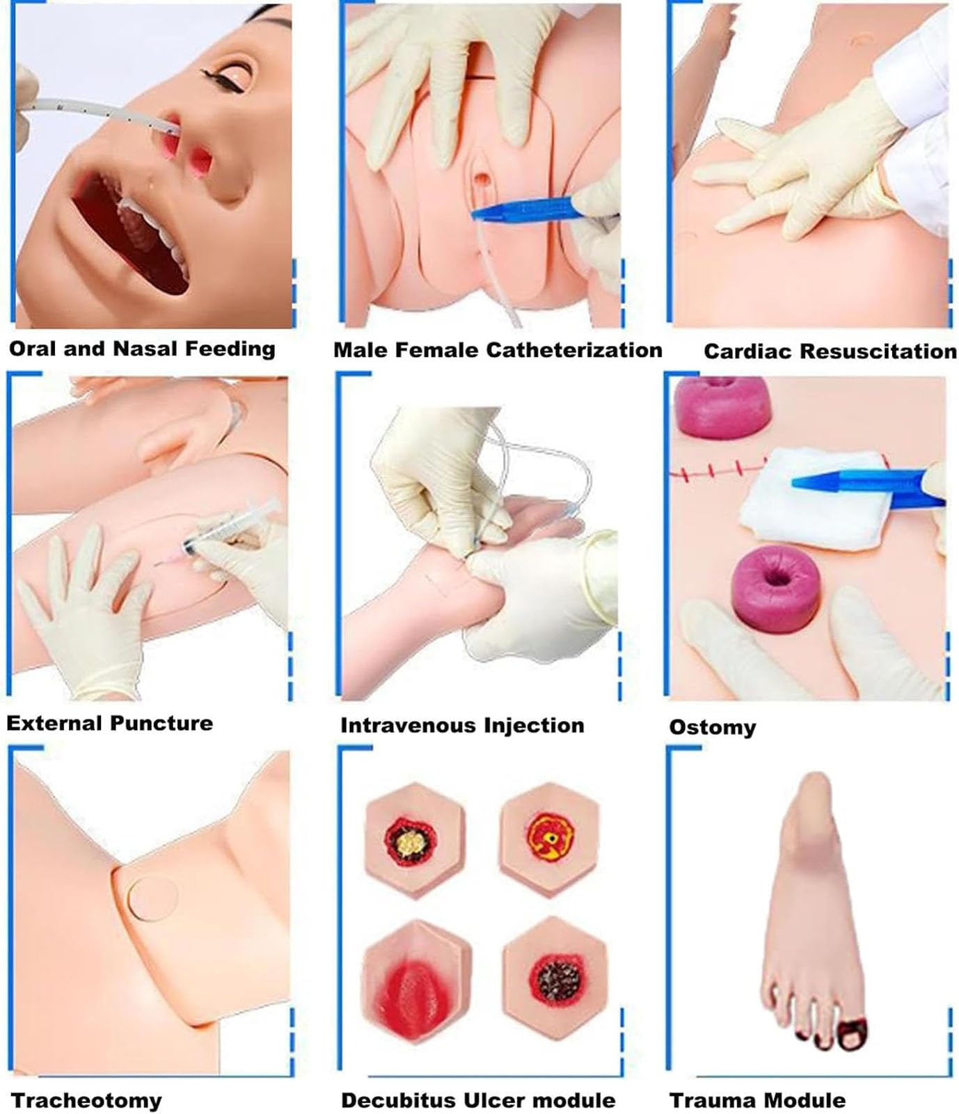Générique Mannequin médical pour soins infirmiers de 5,57 pieds avec 3 modules musculaires,Male