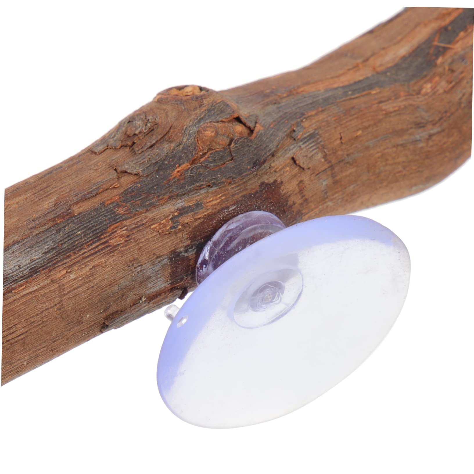 3 Pz Supporto in Legno D'uva Camaleonte Accessori Per Rettili Giocattoli Accessori Camaleontici Rami Per Lucertole Viti Ramo Di Geco Crestato Coniglio Anfibio Kit Di Legno