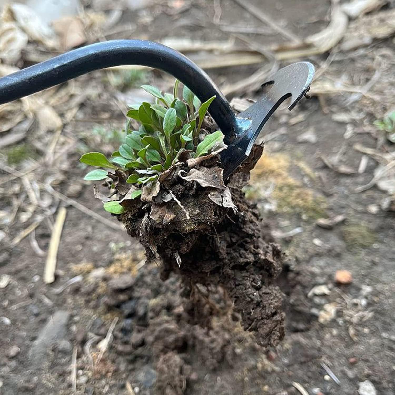 4 Teeth Dual Purpose Weeder - Weeding Artifact Uprooting Weeding Tool - Hand Weeder Tool Garden Weeding Tool Weed Puller - Easily Remove Weeds for Garden Yard Farm Weed Removal (2PCS)