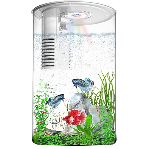 Desktop Fish Tank 3 Gallon Self-Cleaning, Nano Aquarium Goldfish Tank Starter Kit with LED Light & Filter, 360 View for Small Fish, Kids Room & Home Decor (17Color Modes, Large)