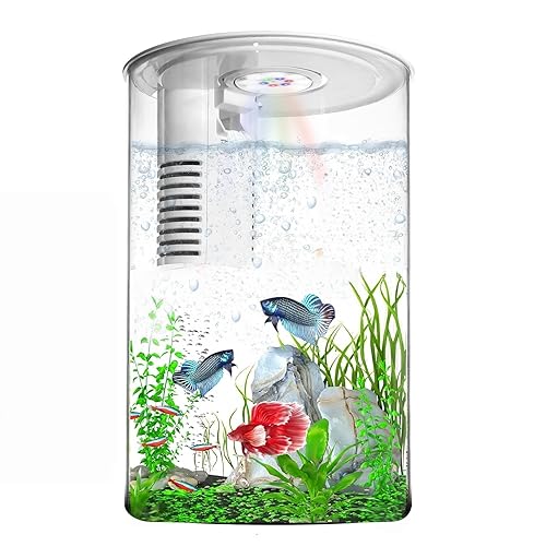 Desktop Fish Tank 3 Gallon Self-Cleaning, Nano Aquarium Goldfish Tank