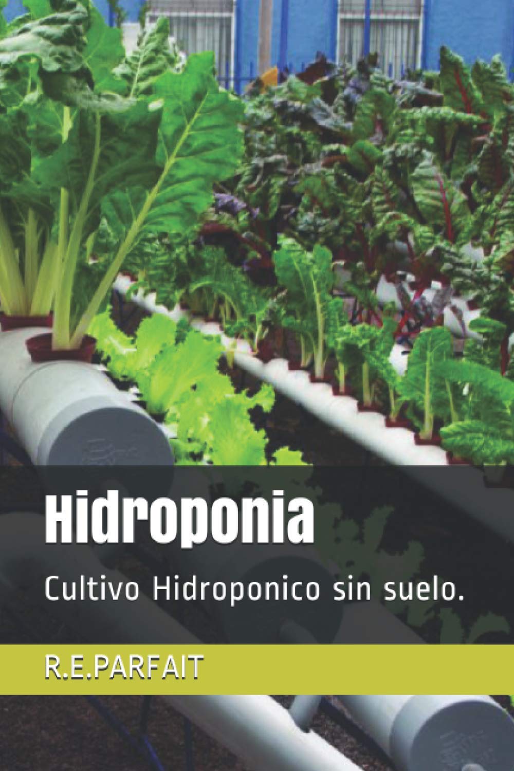 Hidroponia: Cultivo Hidroponico sin suelo. (1)