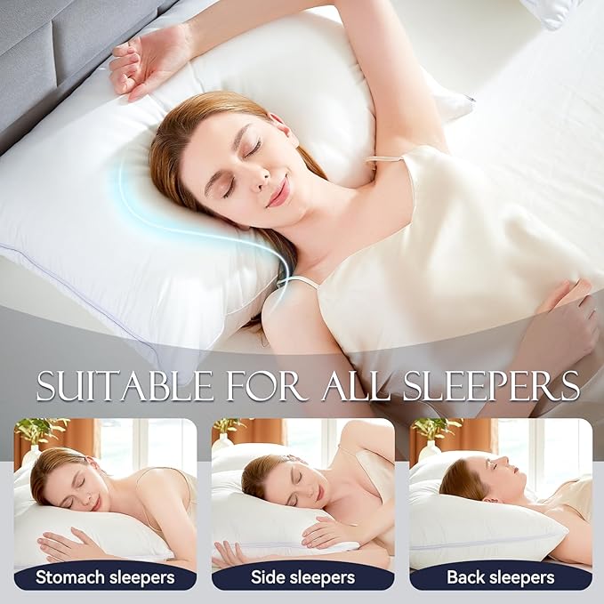 Almohada Pluma de Ganso Queen Ajustable miniatura 4