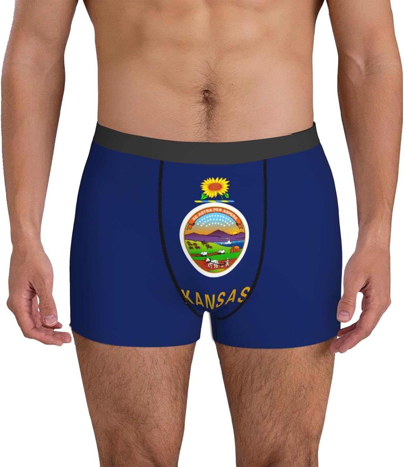 Kansas State Flag print Men's boxers, men's stretch leggings shorts Soft breathable boxer underwear