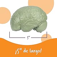 Vista 4 de Learning Resources, maqueta del cerebro con corte transversal