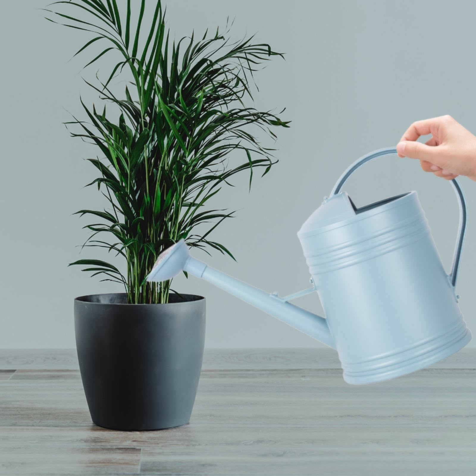 Sharplace 4 Liter Gießkanne für Haus & Garten, Kunststoff-Gartengießkanne mit abnehmbarem Sprühkopf, Blumengießkanne ideal für die Bewässerung von Blumen, Pflanzen, Bäumen im Freien, Blau
