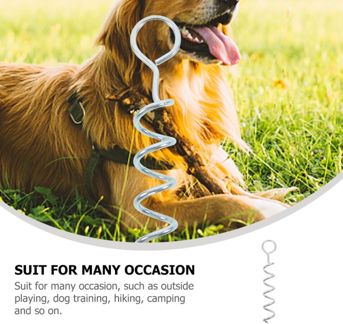 Heavy Duty Dog Tie Out Stake with Spiral Shape Iron Construction and Stable Support for Outdoor Dog Training and Camping Tent Use