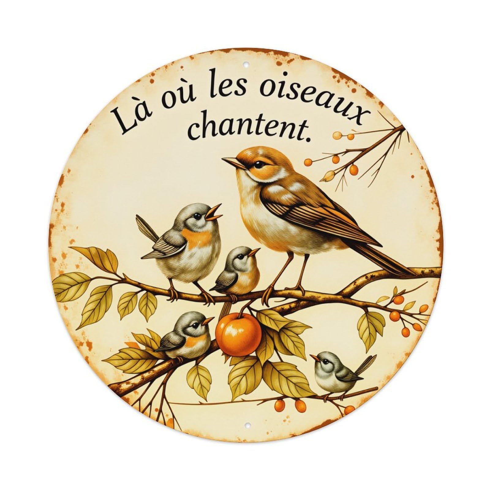 Birds Singing On Branch With Fruit Round Tin Sign Vintage Metal Poster Retro Bar, Home, Man Cave, Kitchen, Laundry Room Wall Art Decor Gift 8x8Inch