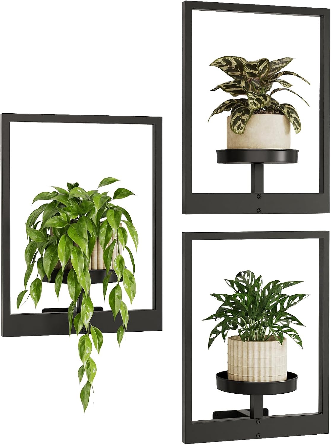 Bamworld 3-Pack Hanging Planters: Picture Frame Wall Plant Hangers for Indoor Outdoor Decor, Living Room Window Shelves