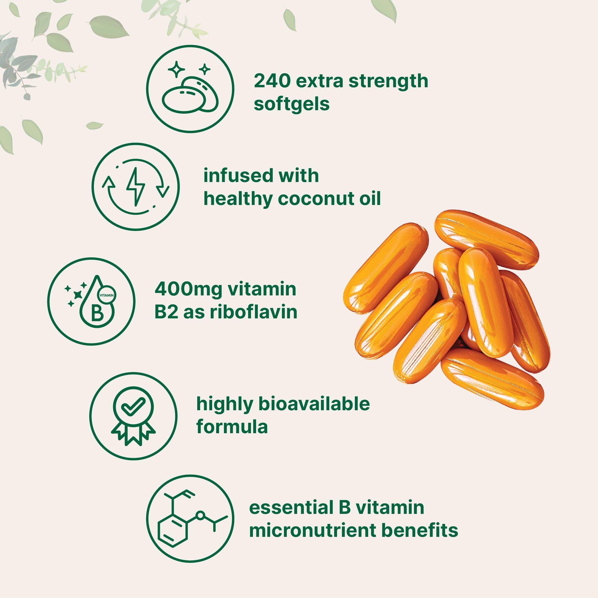 Vitamin B2, Riboflavin 400mg | 240 Softgels with Coconut Oil | Highly Bioavailable | Extra Strength Vitamin B Energy Supplements | Essential B Vitamins for Women & Men | Non-GMO, Gluten Free — Amazon image 3