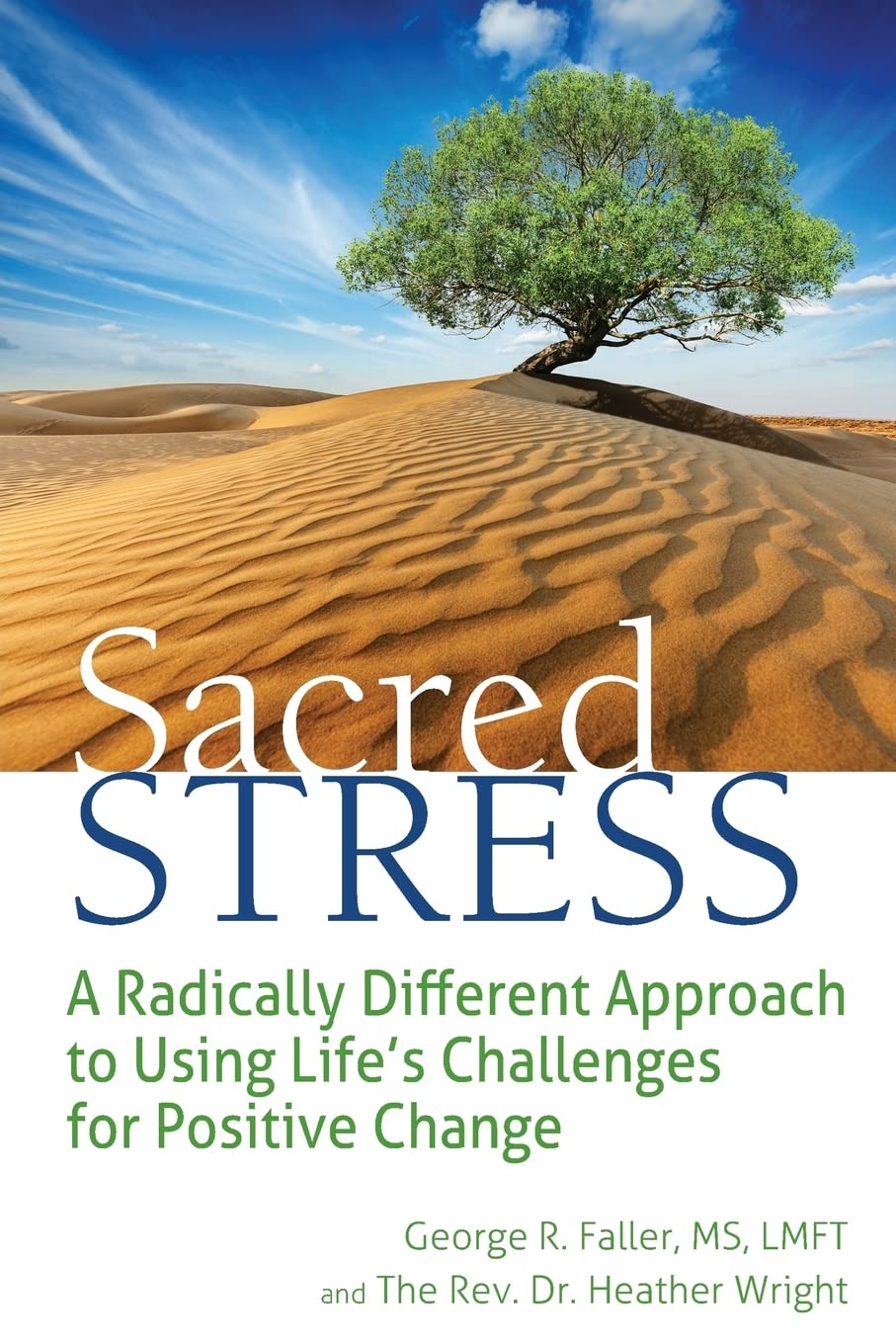 Sacred Stress: A Radically Different Approach to Using Life's Cha Paperback – 22 April 2016