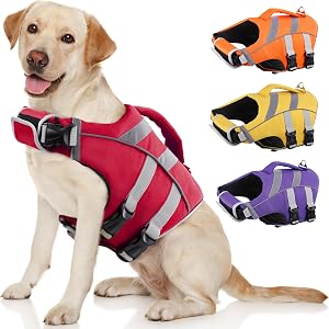 Pet Supplies