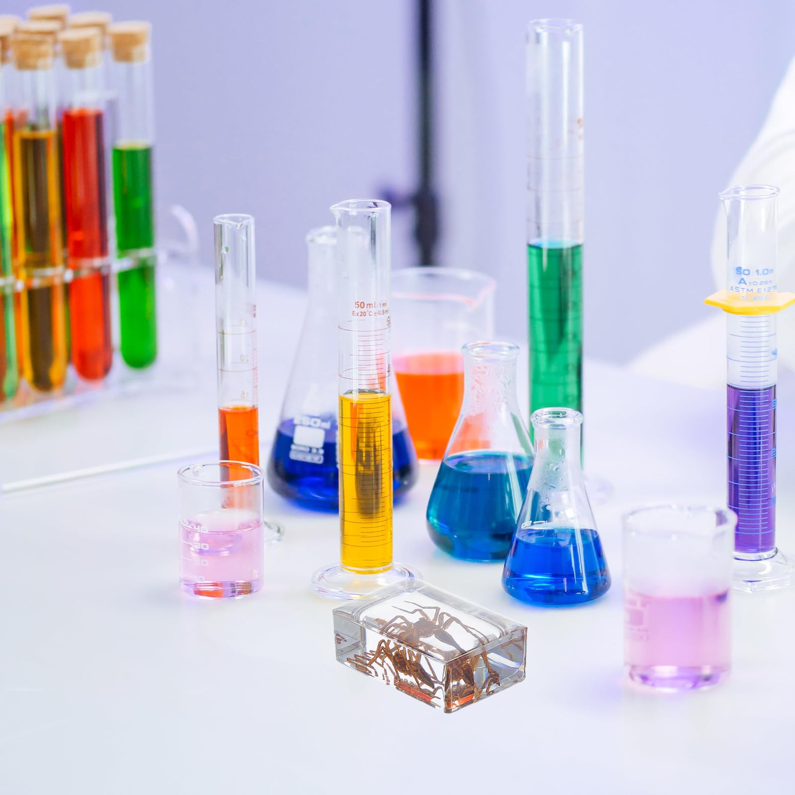 Set da 6 Pezzi di Insetti in Resina per Collezione e Decorazione da Scrivania, Esemplari Conservati Artigianato Elegante per Educazione Scientifica e Arredamento Casa