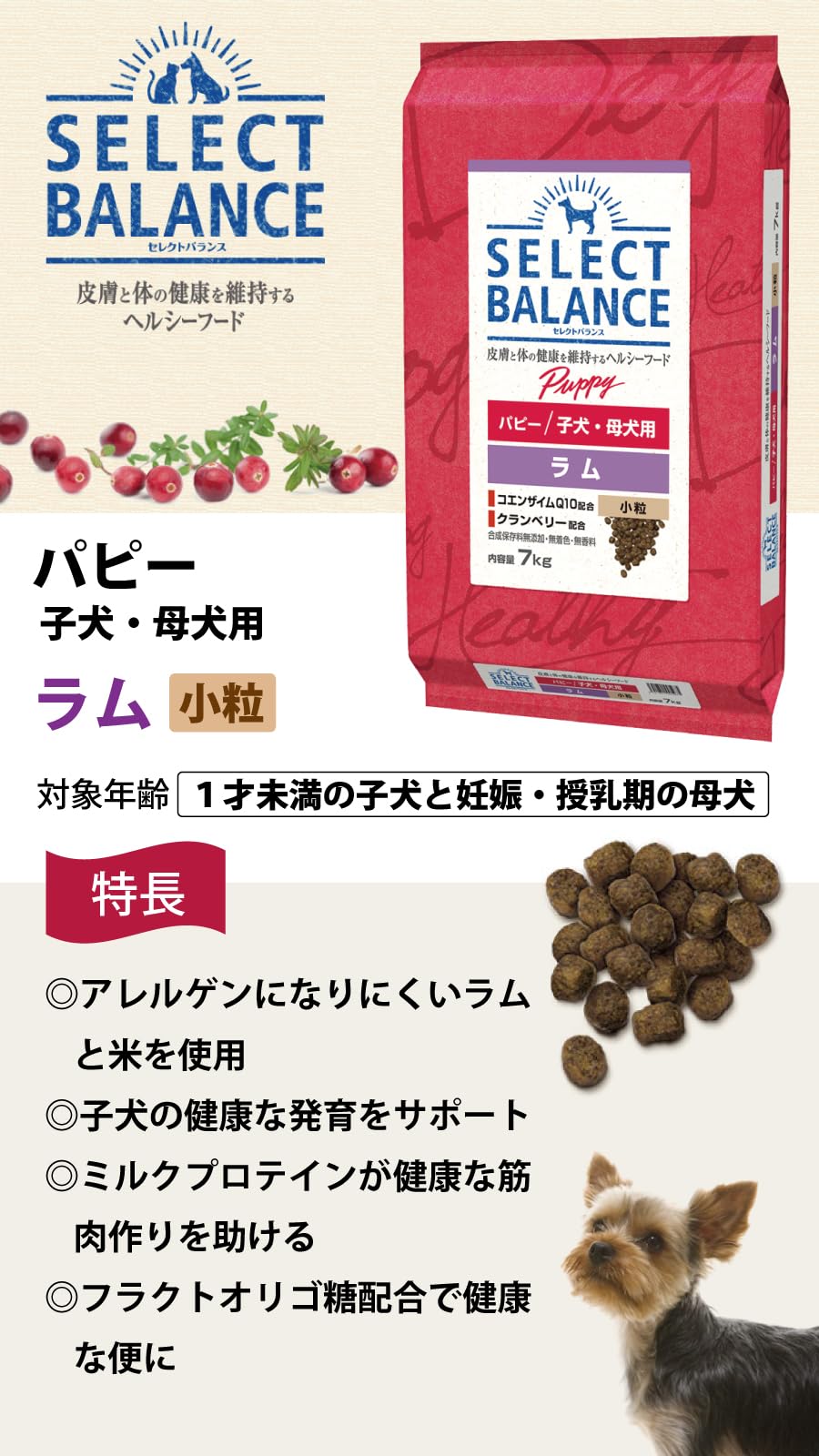 Amazon.co.jp: セレクトバランスドッグフード パピー ラム 小粒 7kg+SB