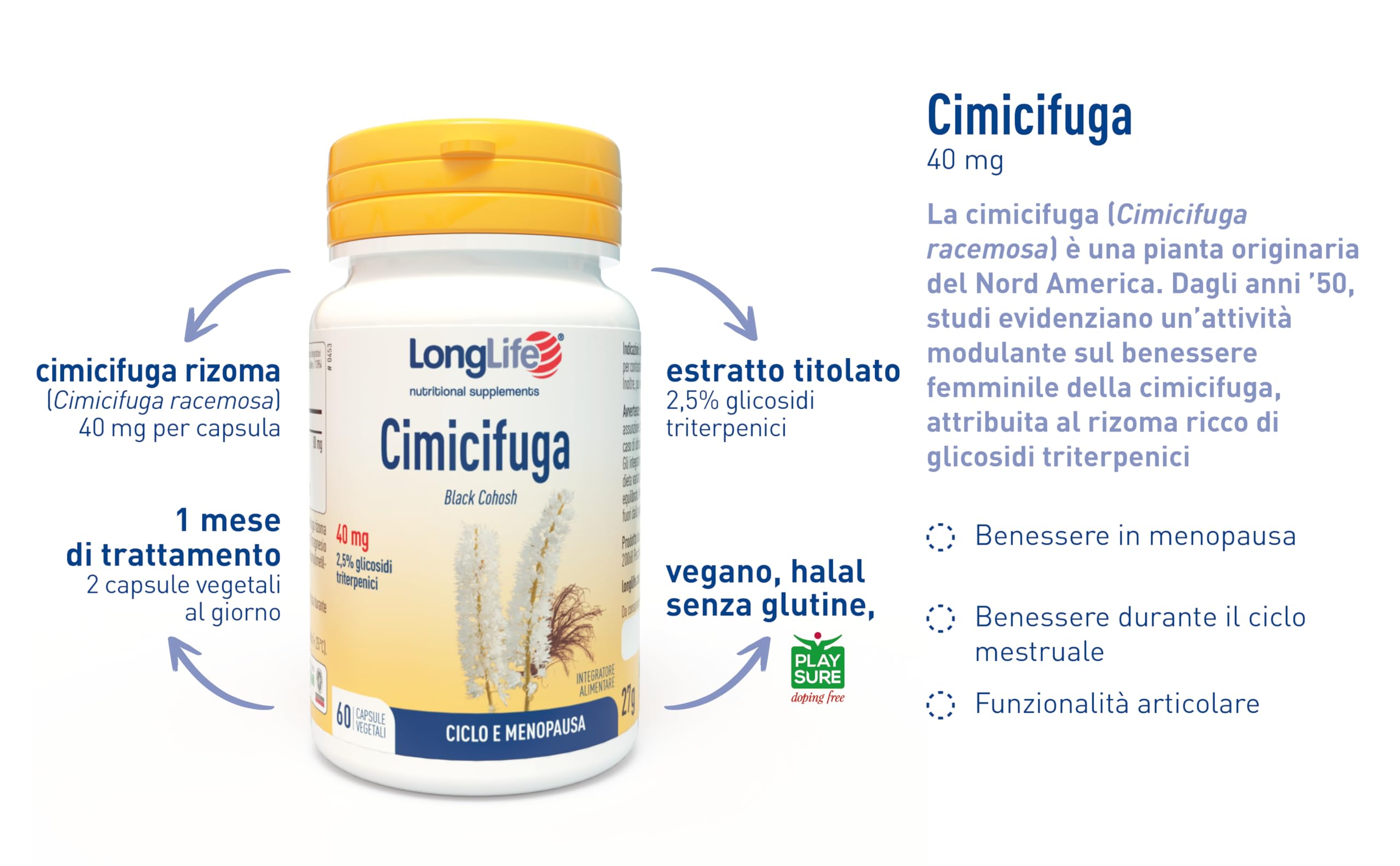 LongLife® Cimicifuga | Integratore di cimicifuga titolata 2,5% glicosidi triterpenici | Benessere in menopausa | Funzione articolare | 1 mese di trattamento | Vegano e senza glutine