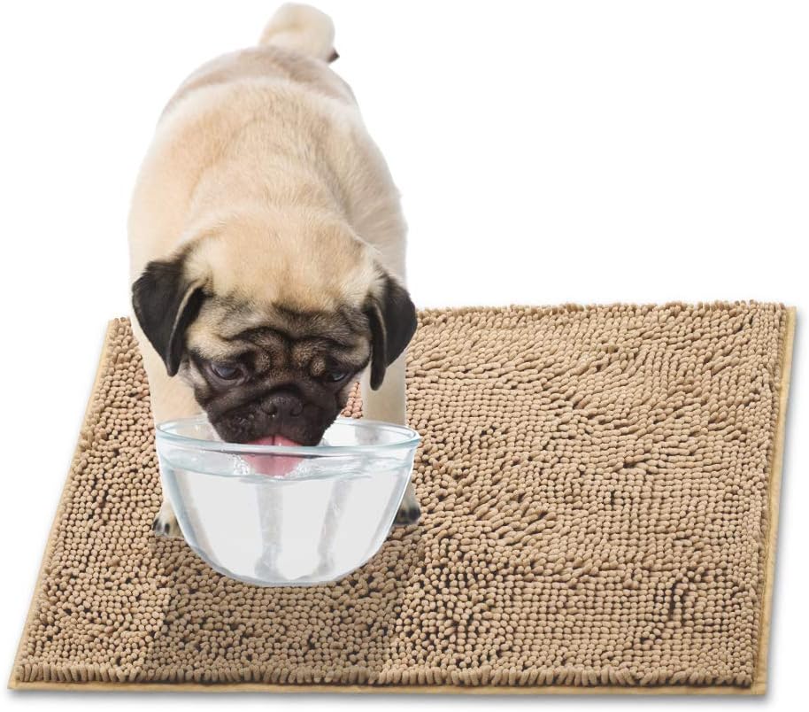 The 11 Best Doormats For Dogs