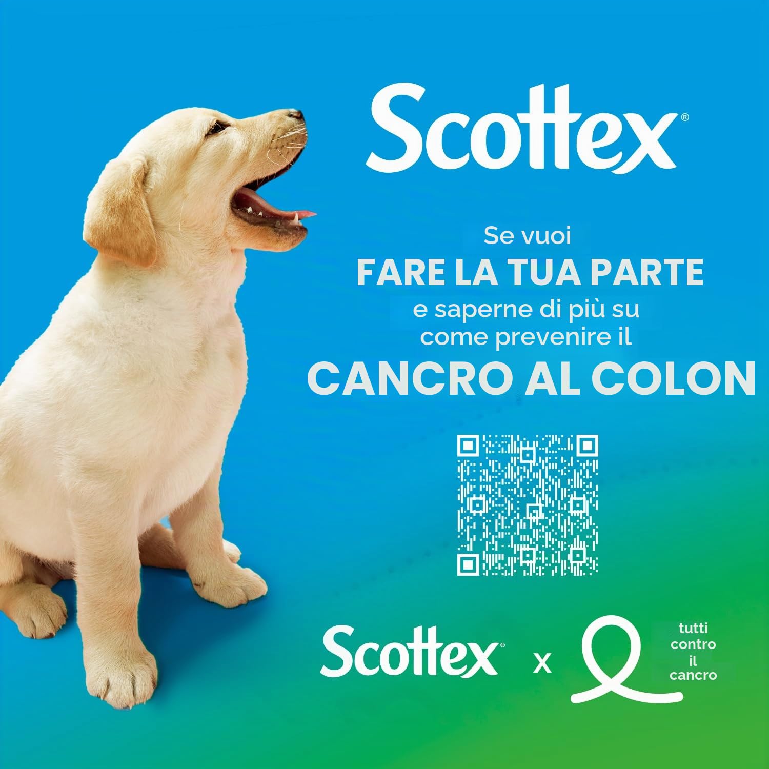 Scottex Carta igienica Megarollo - 48 rotoli