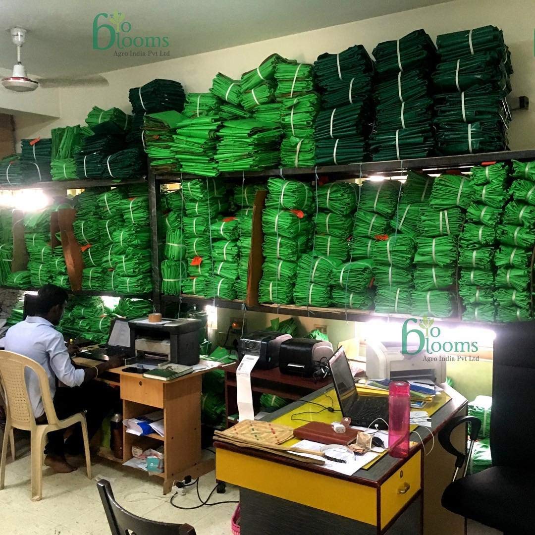 Bio Blooms Agro India Pvt.Ltd. 12X12Inch HDPE Plant Grow Bags for Terrace Gardening | Pack of 10 | Green & Orange Color | Outdoor Use — Amazon image 5