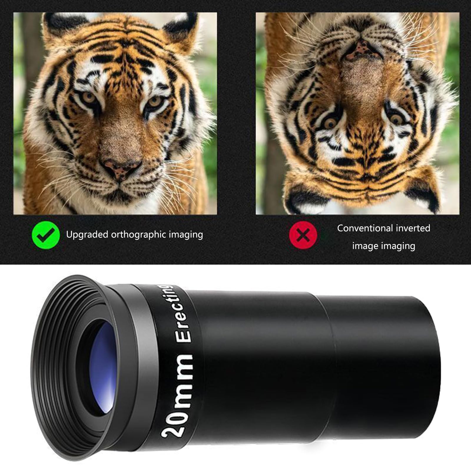 20mm Erecting Eyepiece High Claritys Lens 1.25
