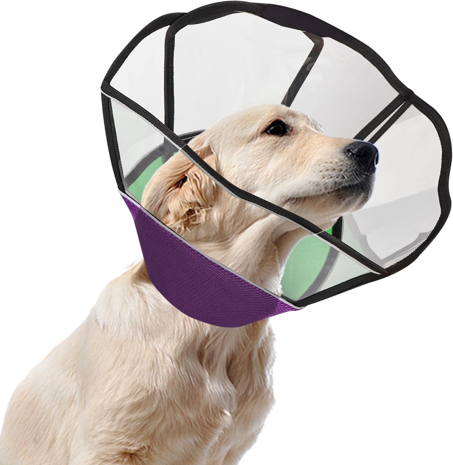 PLAYTAIL Dog Cone for Dogs After Surgery, Soft Dog Cones
