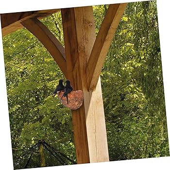 天然燕の巣　2個セット Amazon.co.jp: iplusmile 2個セット 模擬ツバメの巣 ツバメの巣