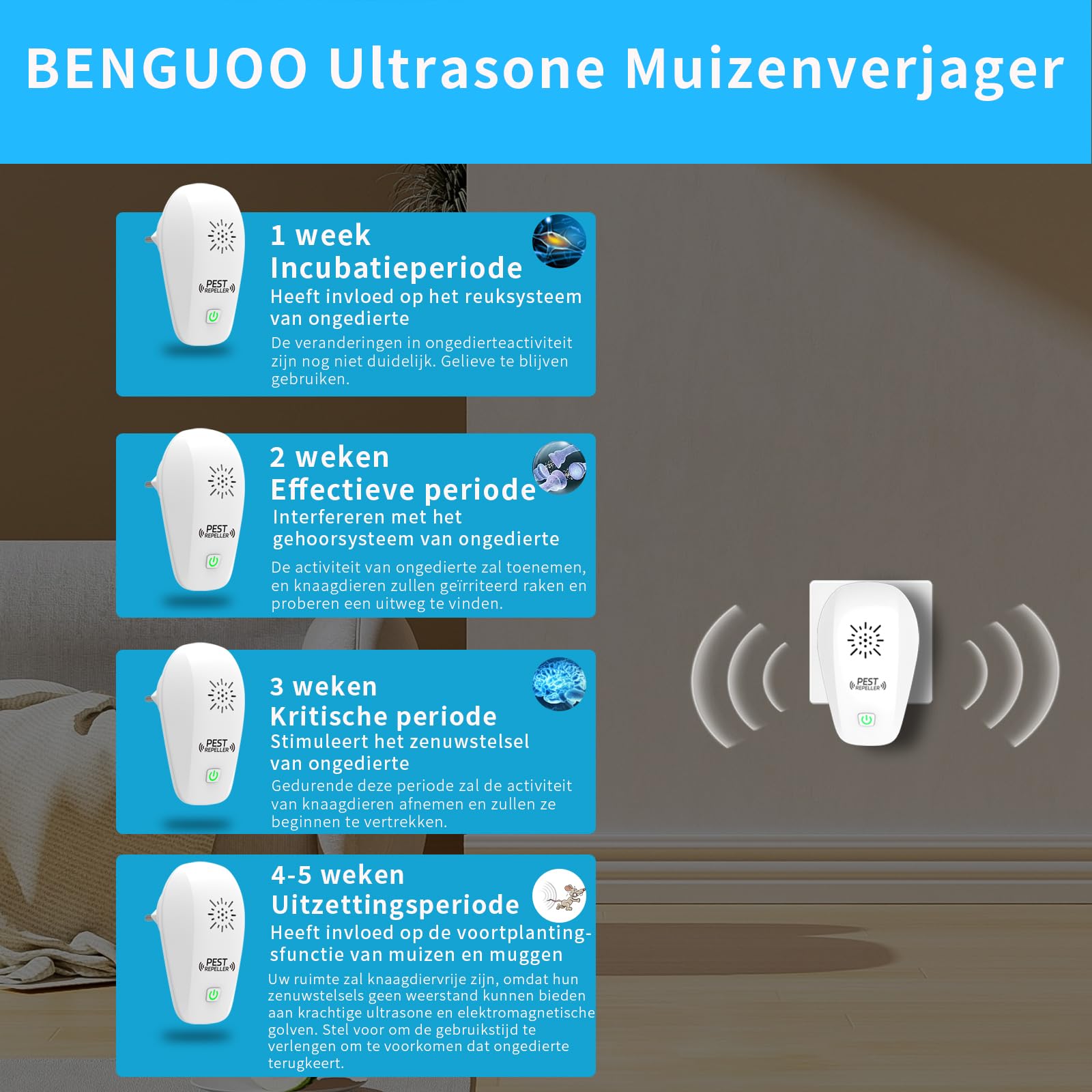 BENGUOO Répulsif Ultrasons Souris Rats 2 Unités - Anti Rongeurs & Insectes Puissant, Prise Électrique 150 M²