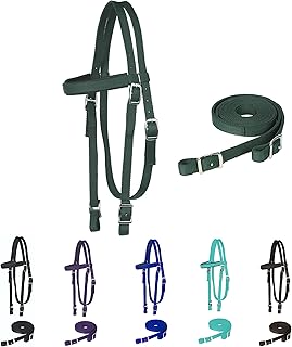 Majestic Ally Nylon Padded Browband Headstall with Reins for Horses (Hunter Green, Full)