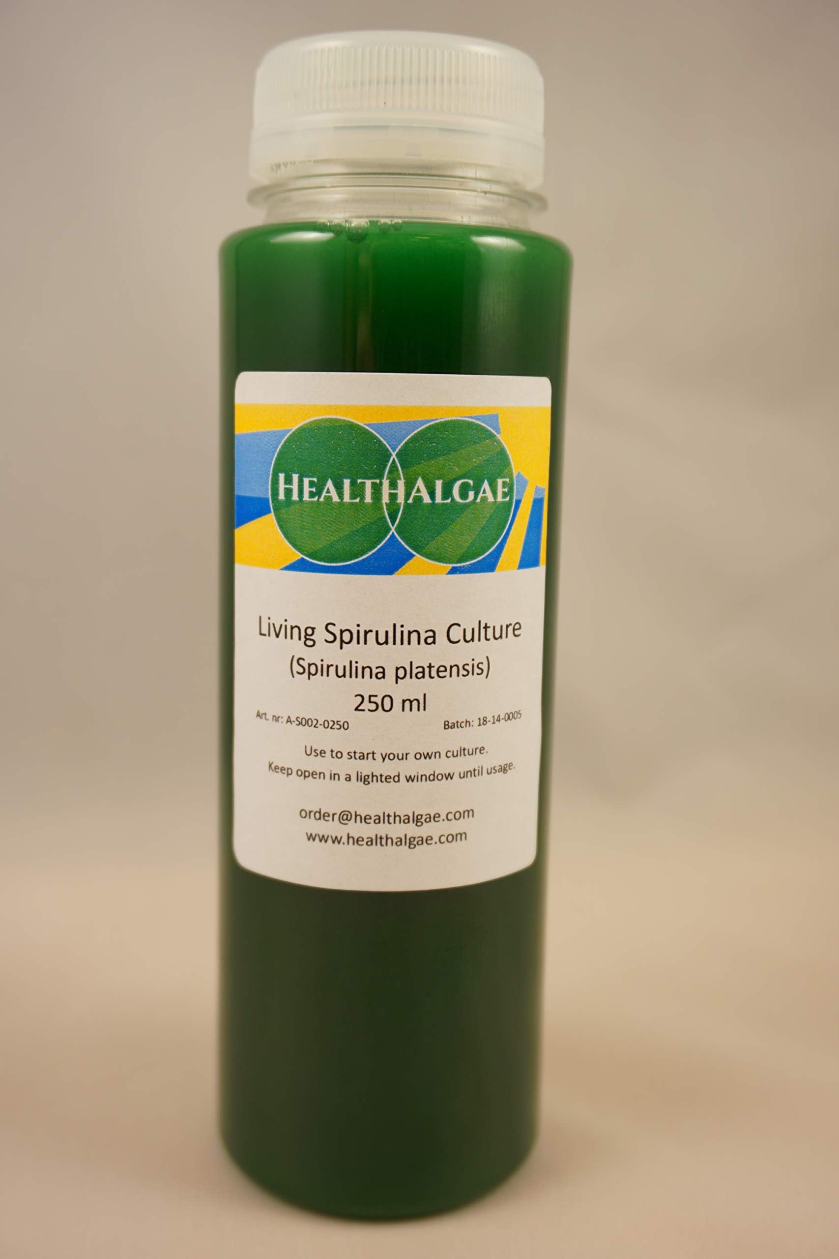 Spirulina platensis Living Culture (250 ml) - Live Algae - Start Culture - Grow Spirulina at Home, Swedish Grown, with Spirulina Grow Manual, Kombucha (250)
