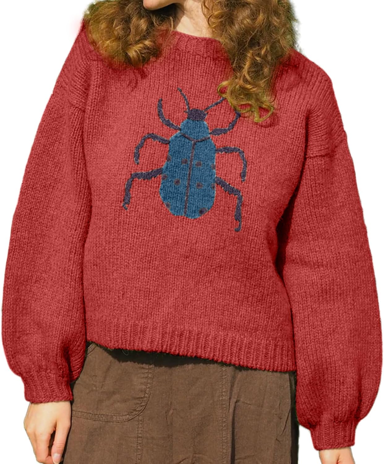 CHARTOU Women Fall Oversized Sweater Cute Insect Pattern Knit Pullover Sweater Crew Neck Short Jumper