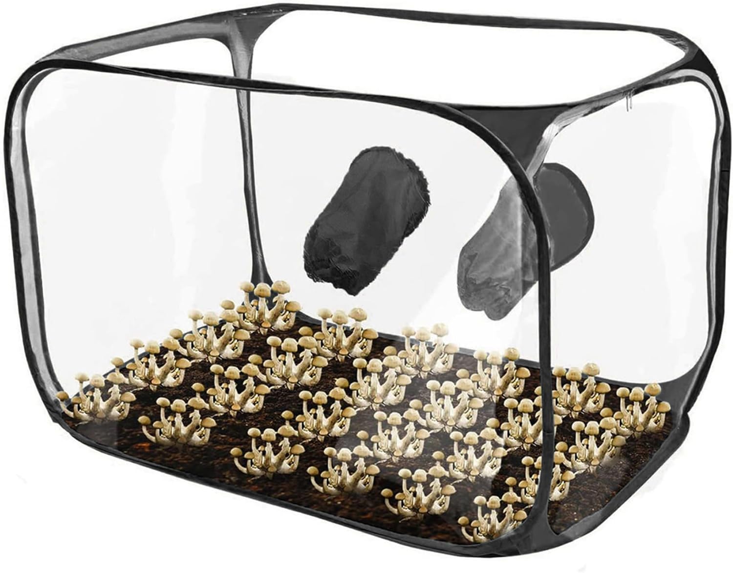 Mushroom Grow Tent with Armholes 35.4x23.6x23.6 - Large Transparent Still Air Box Foldable with Zipper for Mushroom Grow Kit (Black)
