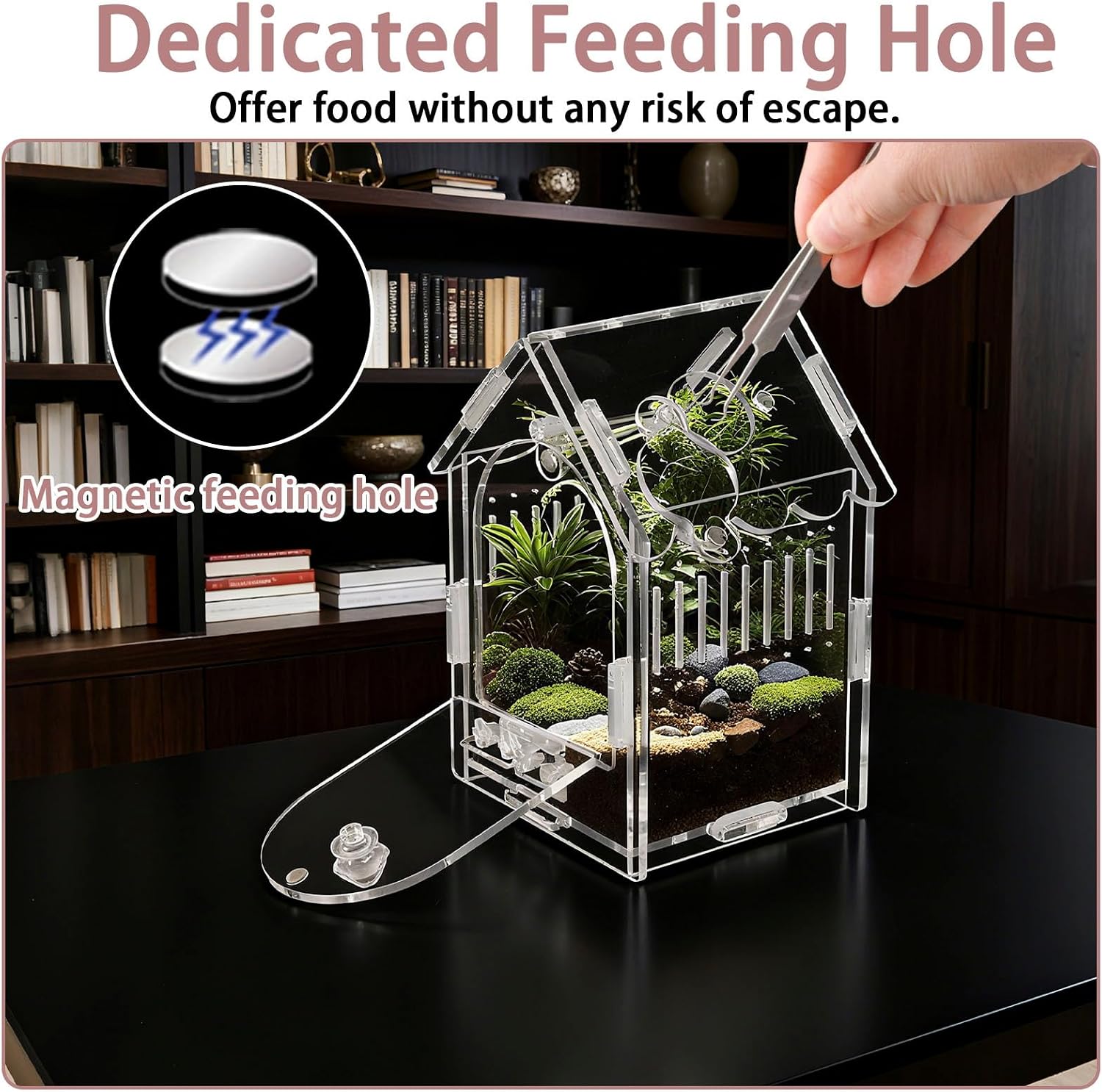 Acrylic Jumping Spider Enclosure 3.15"x3.15"x5.6" – Magnetic Front Opening Terrarium for Tarantulas, Mantis & Small Reptiles | Escape-Proof Habitat with Ventilation & No-Tool Assembly image 4