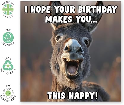 Funny Donkey Birthday Card - 'Cute Donkey Happy' - Gifts for Friends, Him, Her, Besties, Buddies, Mate, Family, Colleagues, Coworkers - with Fun Stickers
