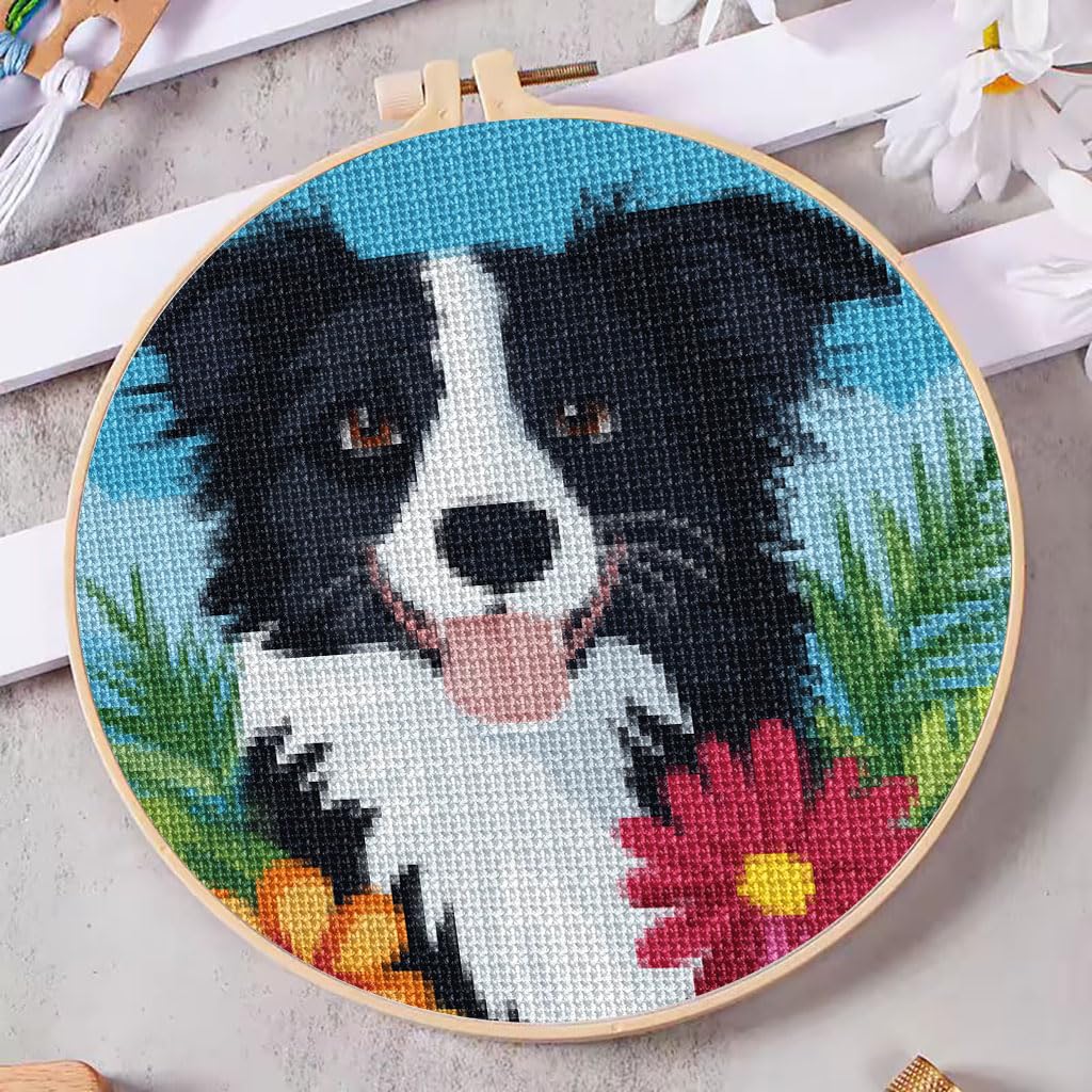 Amazon.com: DIY Counted Cross Stitch Kits Border Collie Dog