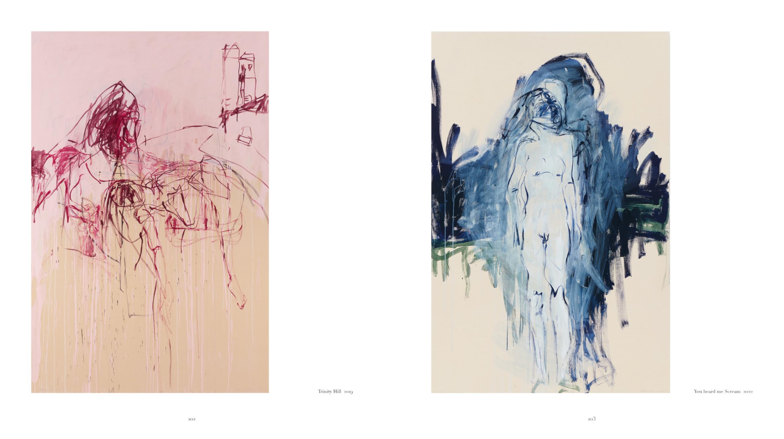 Tracey Emin: A Second Life: the official catalogue of the Tate Modern exhibition