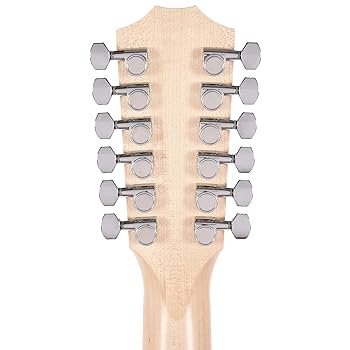 Taylor 150e12弦 アコースティックギター 美品 Amazon | Taylor 150e 12弦アコースティックエレキギター