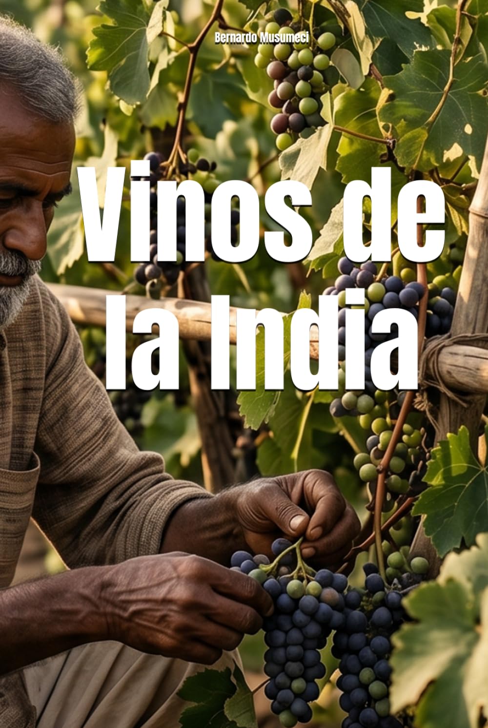Vinos de la India (Wines of the World)
