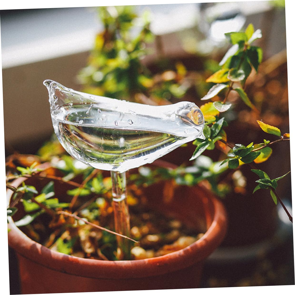Gatuida Globes d'Arrosage Automatiques en Verre Borosilicate 4 Pièces pour Plantes Intérieures et Extérieures