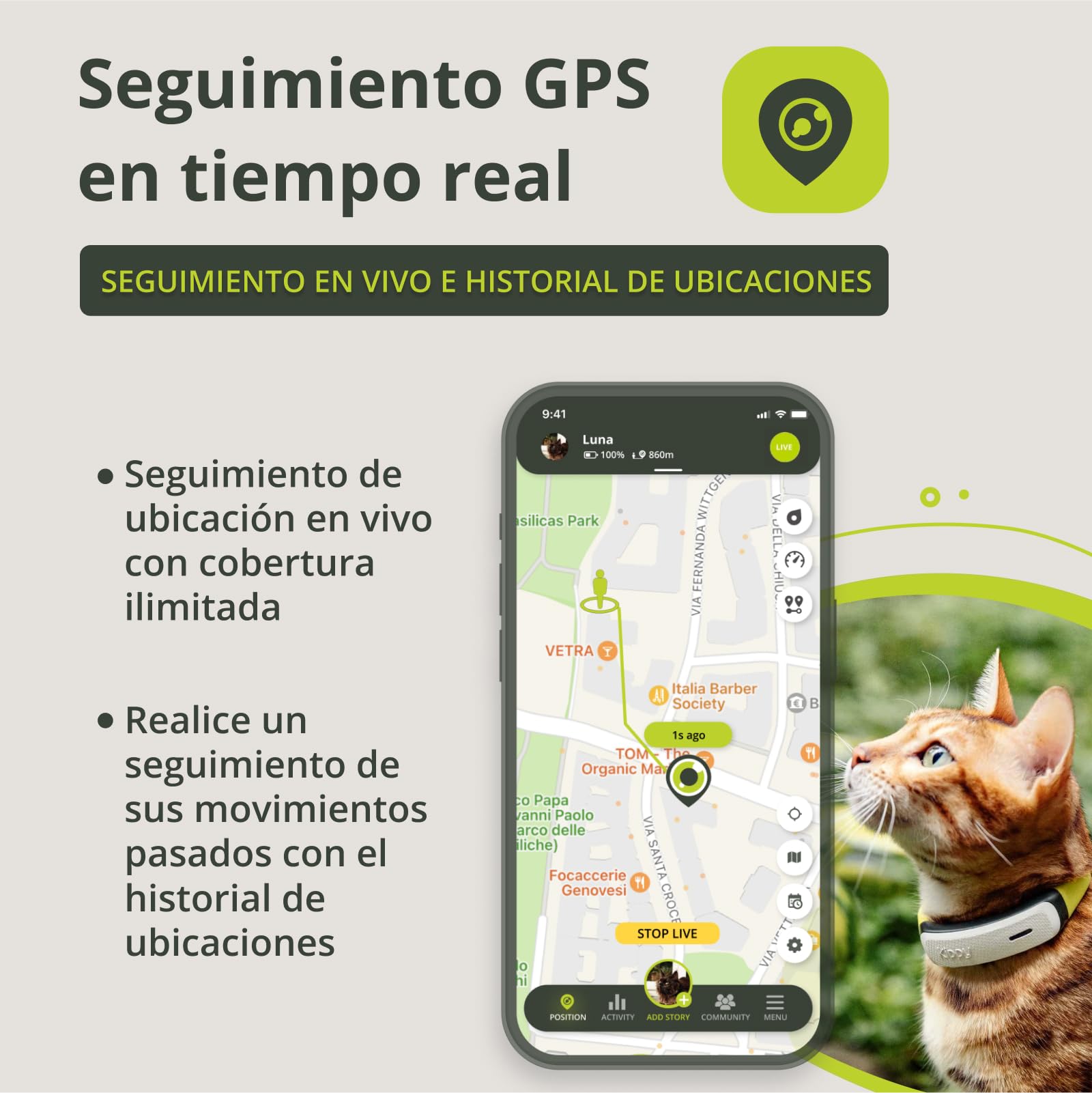 KIPPY - Collar gps para Gatos Cat Color - Rastreador de Salud y Actividad - Localizador GPS con Fronteras Virtuales - Alerta Instantánea