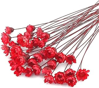 100 Stems Natural Dry Flowers Brazilian Small Star Daisy Decorative Dried Flowers Mini Daisy Chamomile Bouquet for Wedding Floral Arrangements Home Decorations (Red02)