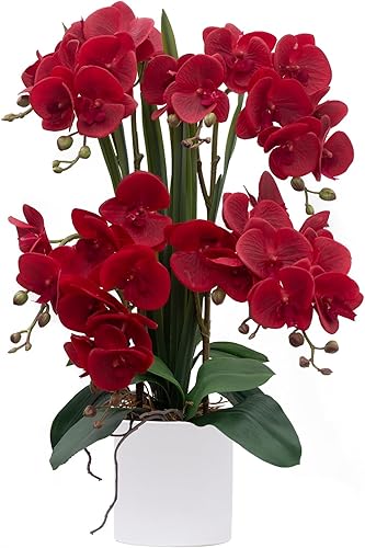 Vista 26 de CXGS Plantas artificiales de orquídeas artificiales de tacto real, orquídeas falsas en jarrón de cerámica de 20.9 pulgadas, orquídea falaenopsis
