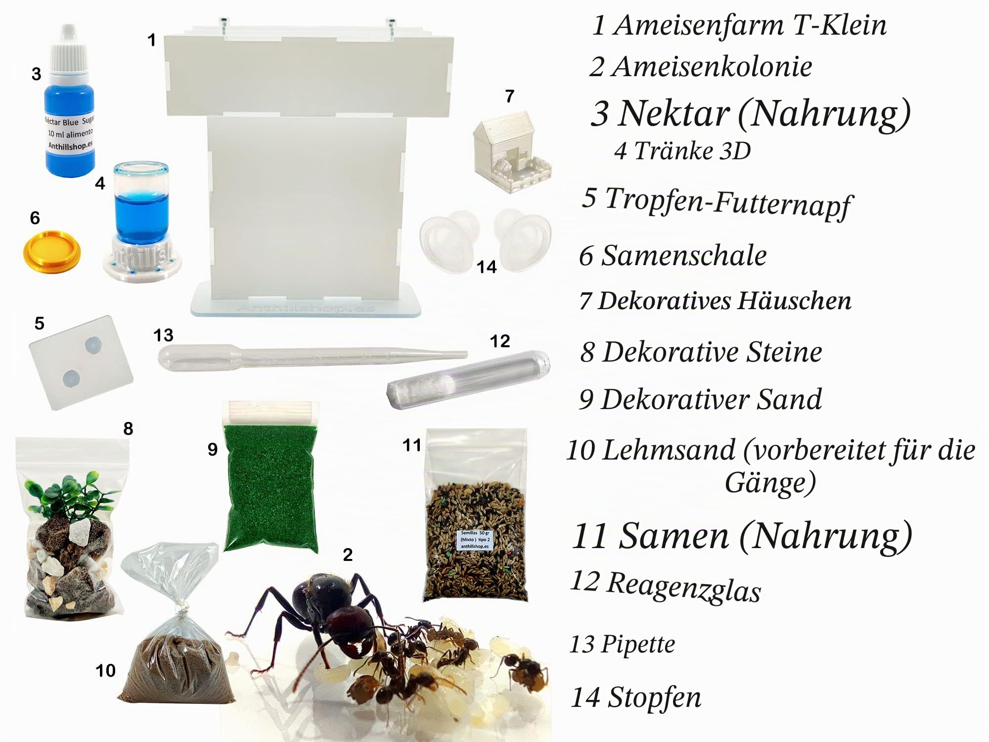 Kleiner Ameisenhaufen aus Natursand (Acryl) – mit Ameisen ┃ von 20 – 30 Ameisen.