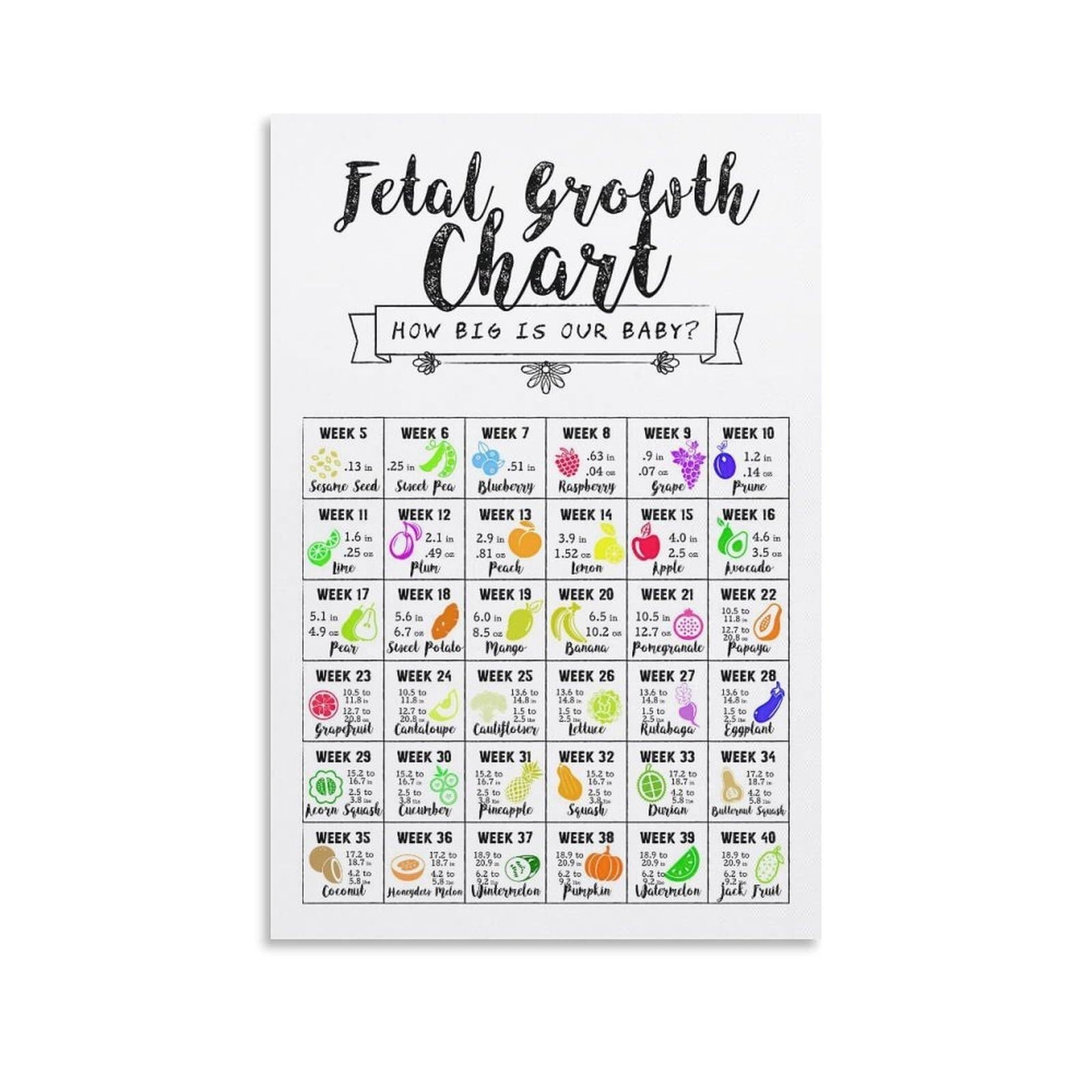 LLBOGRGGN Weekly Growth Chart Pregnancy Poster Fetal Size Milestones Nursery Wall-Art Decor for Parents to Be Memory Keepsake(Unframed,16x24inch(40x60cm))