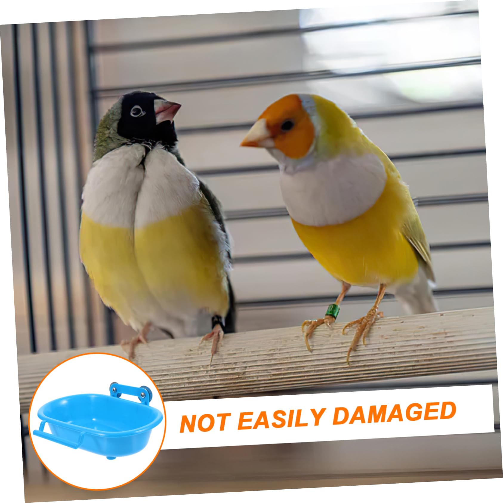 BESPORTBLE 4piezas Bañera De Aves Colgante para Jaula Accesorio Multifuncional De Baño para Periquitos y Aves Pequeñas Higiénica y Segura para Cuidado De Mascotas