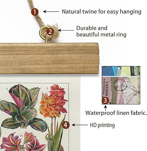 Miniatura 12 de XIAOAIKA Póster de botánica vintage con marco de madera, tabla de plantas venenosas antiguas, arte educativo botánico con especies peligrosas, 1