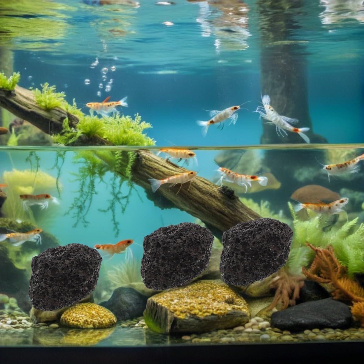 Totority Gravier en Pierre Ignée Noire 1kg pour Aquarium d'eau Douce, Stable et Ne Se Dissout Pas, pour Plantes Aquatiques et Bettas